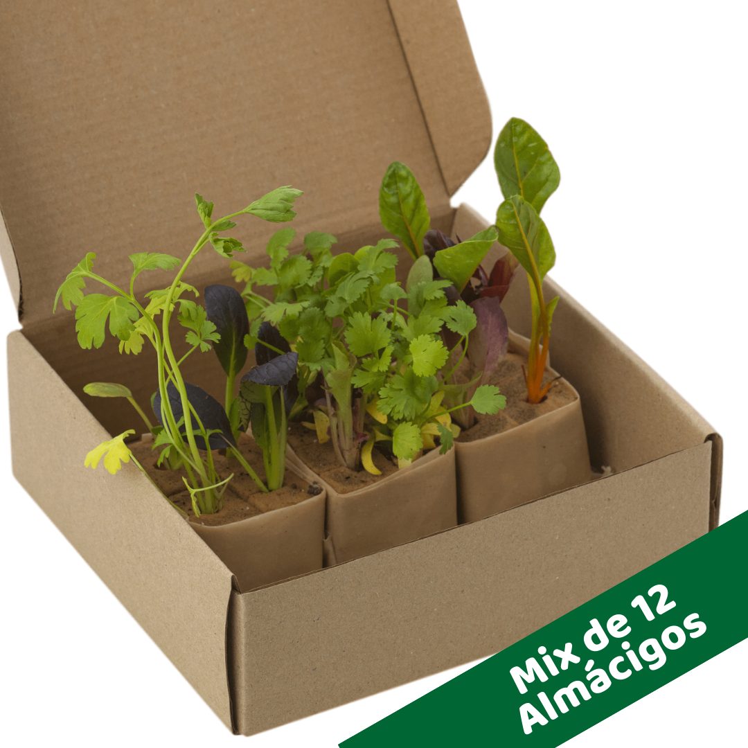 Kit Torre MINI12 - Imagen 2