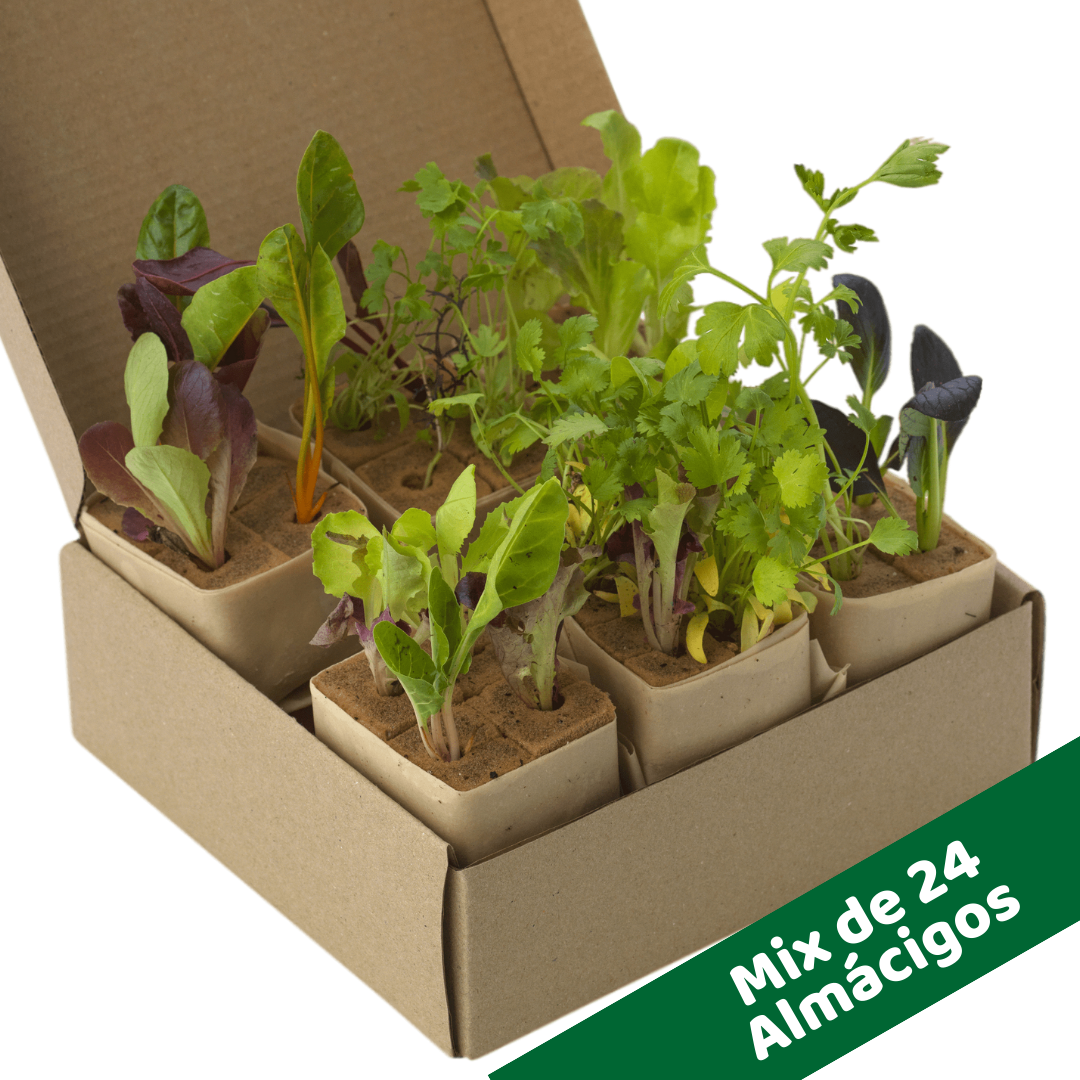 Kit Torre Estándar24 - Imagen 2