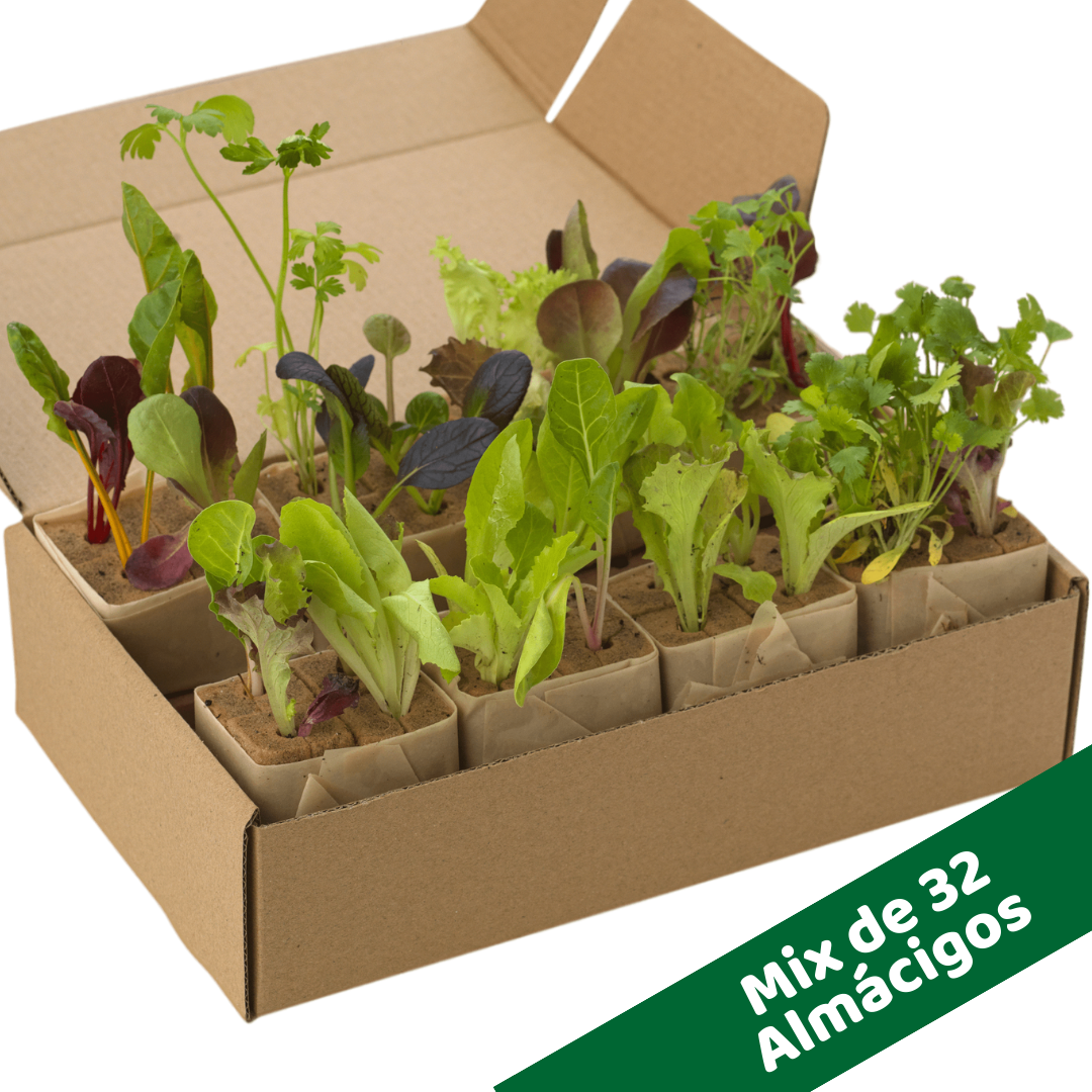 Kit Torre PRO32 - Imagen 2