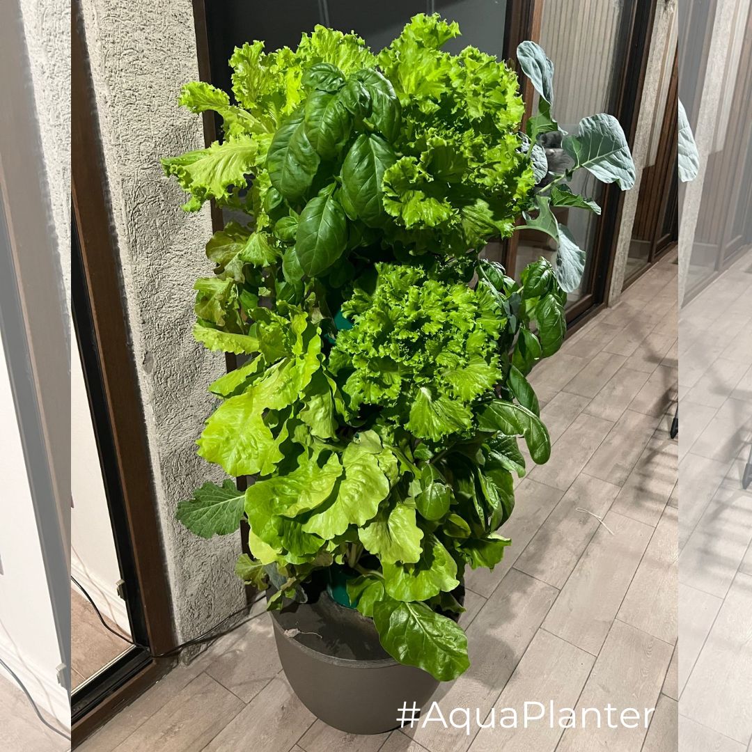 Kit Torre Estándar24 - Imagen 6