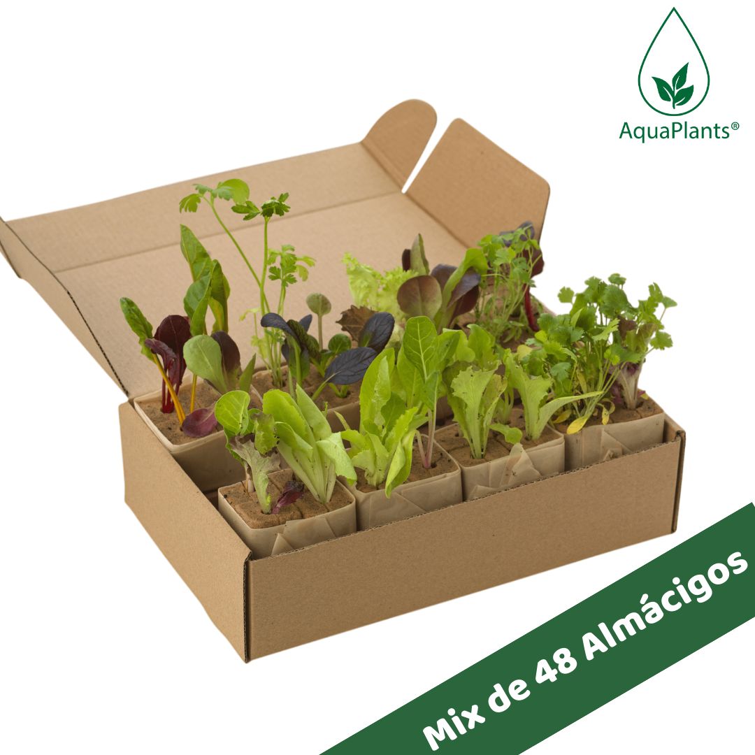 Kit Torre PRO48 - Imagen 2