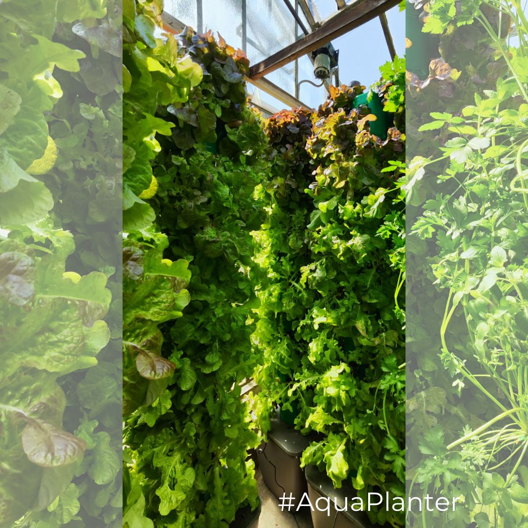 StandFarm PRO48 x4 - Imagen 5