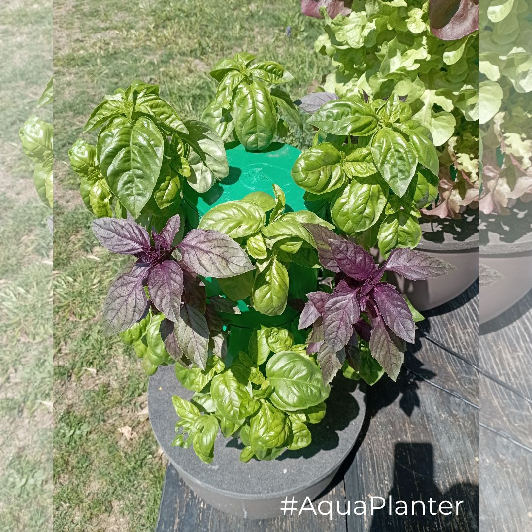 Kit Torre MINI12 - Imagen 6