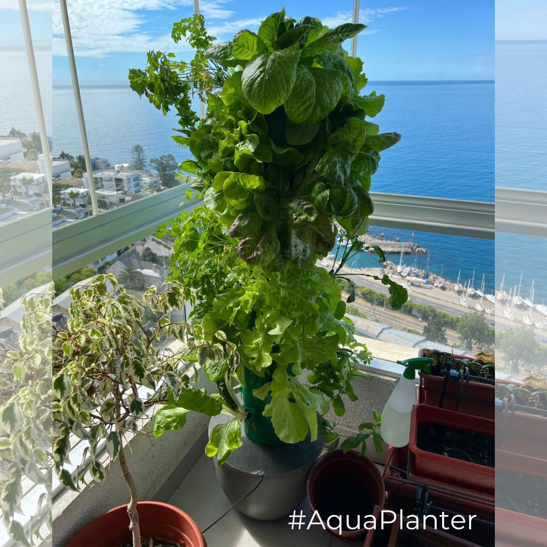 Kit Torre PRO32 - Imagen 6