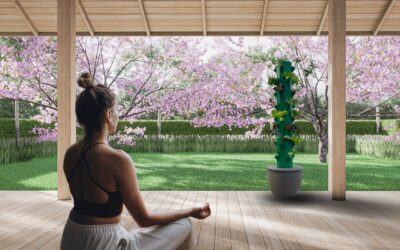 Cómo las Plantas Mejoran la Salud Mental y el Bienestar: Beneficios Comprobados