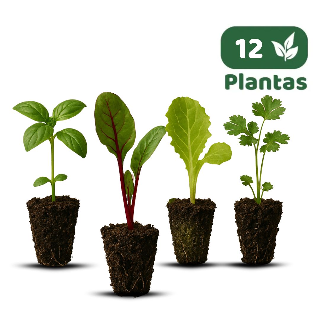MIX de 12 Almácigos TIERRA