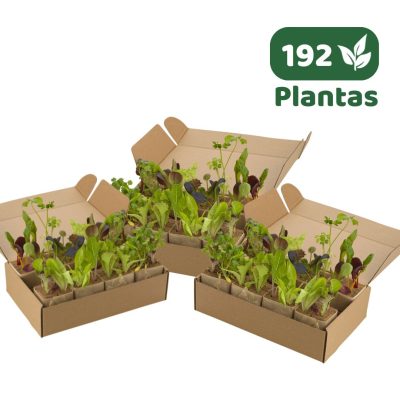 MIX de 192 Almácigos HIDROPONÍA