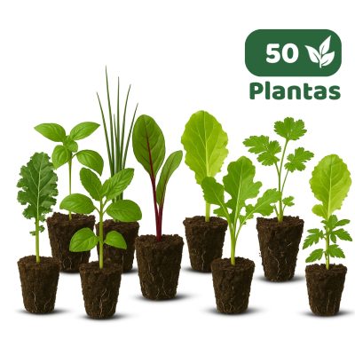 MIX de 50 Almácigos TIERRA