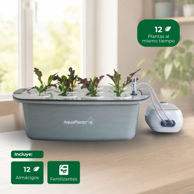 Kit DWC AquaPlants12