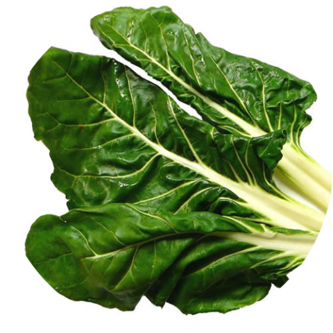Acelga