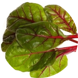 Acelga Morada