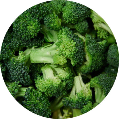 Brócoli